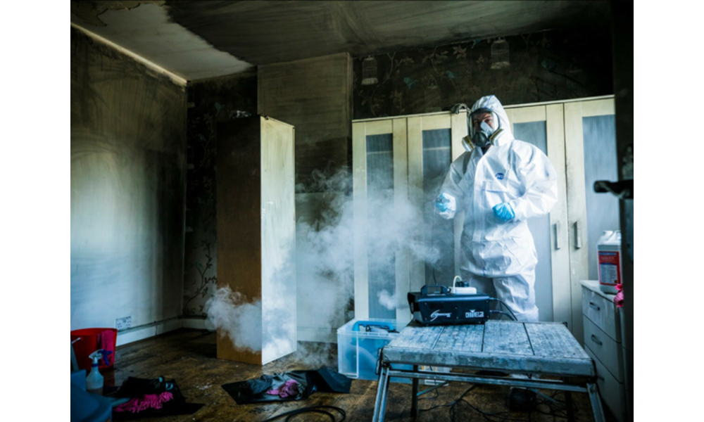 Reasons You Didn’t Know Are Causing Mold Growth In Your Home