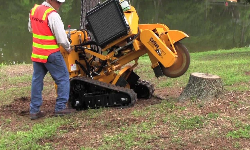 Why Stump Grinding in Gold Coast Is the Smartest Decision After Any Tree Removal