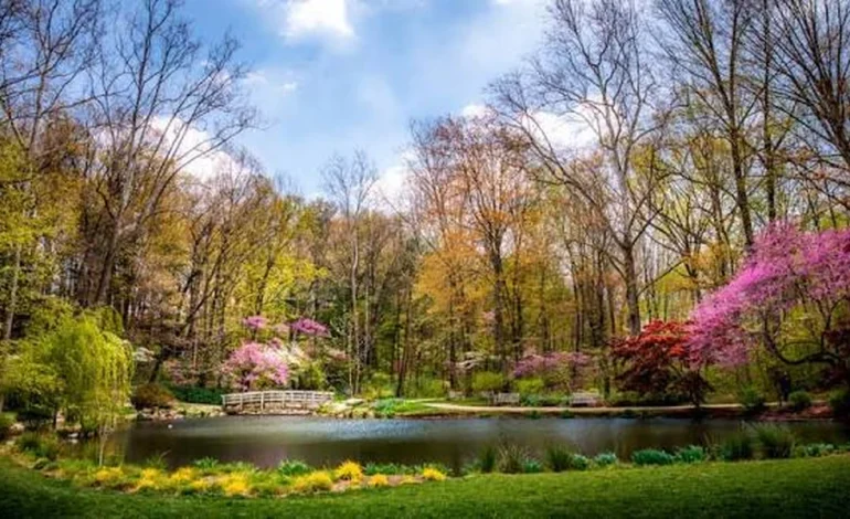 How to Choose Public Gardens for a Relaxing Day Trip