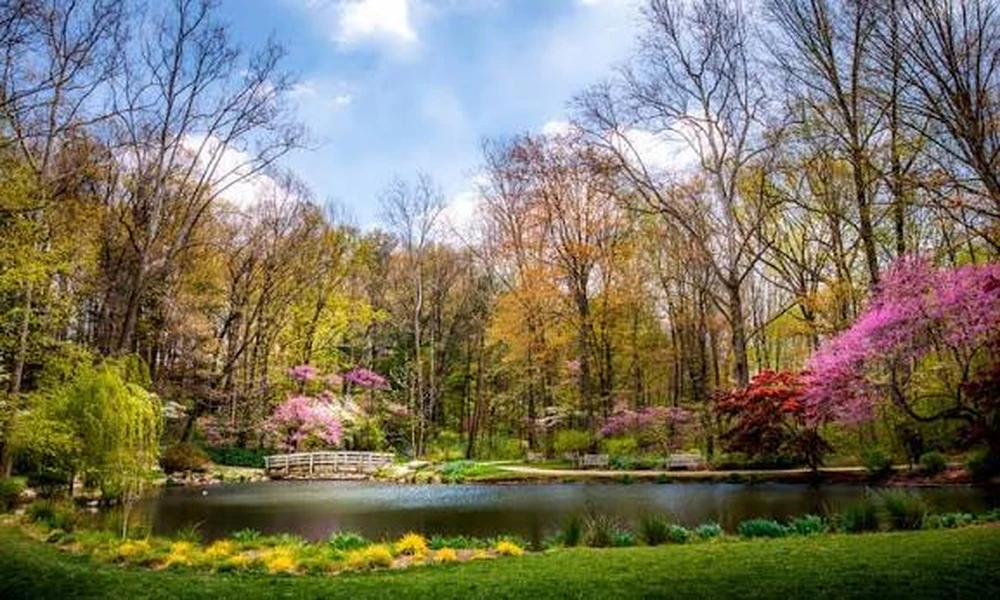 How to Choose Public Gardens for a Relaxing Day Trip